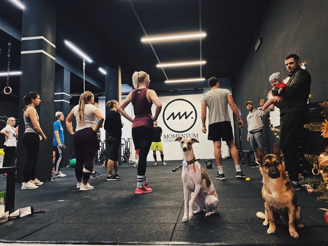 Partia v gyme Momentum Training Center